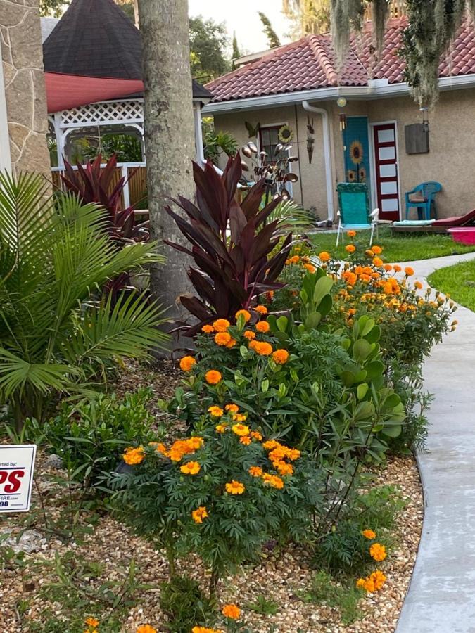 Ms. Maggie'S South Country Inn Daytona Beach Exteriör bild